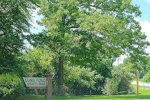 Bear Delaware Real Estate